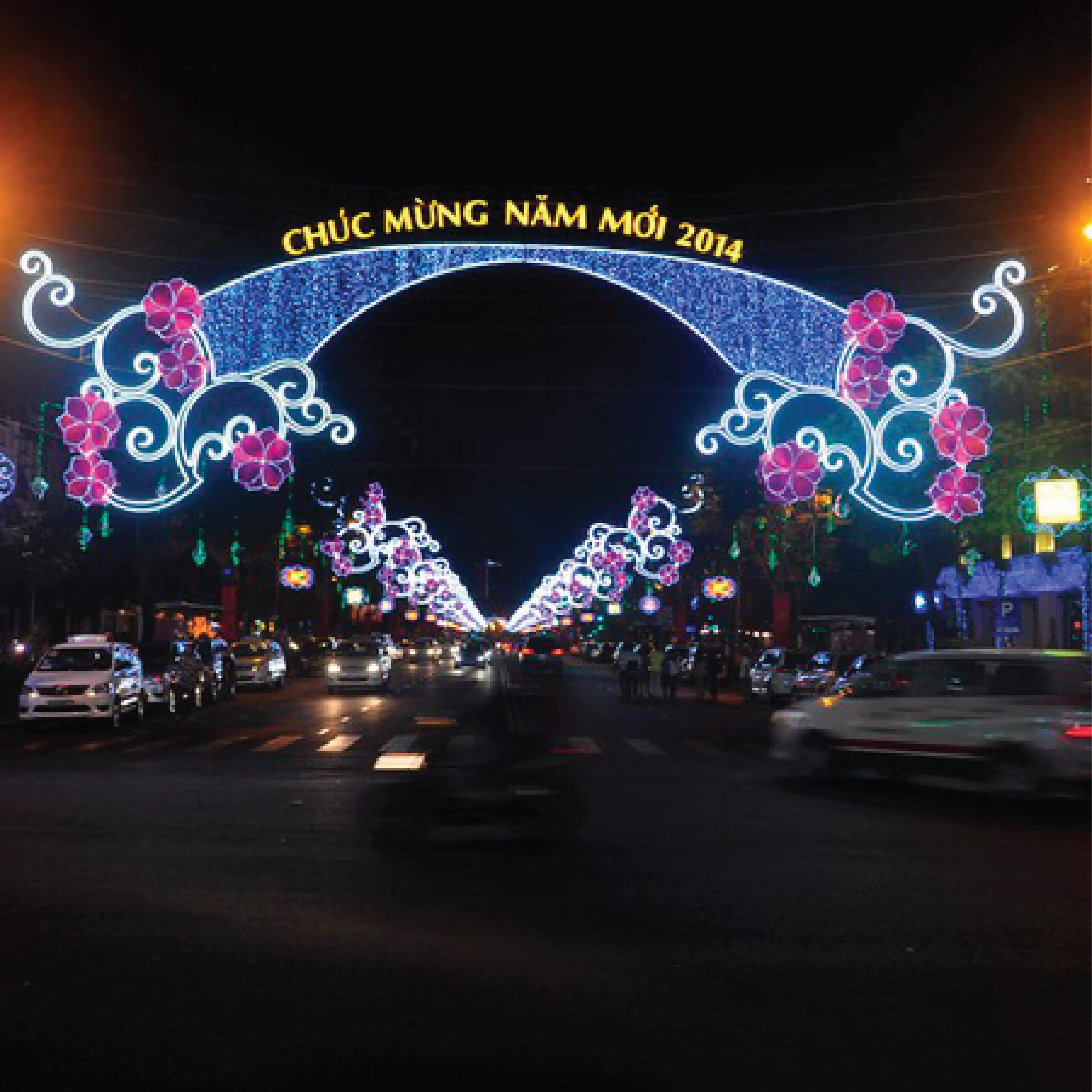 Hoa led trang trí TL920