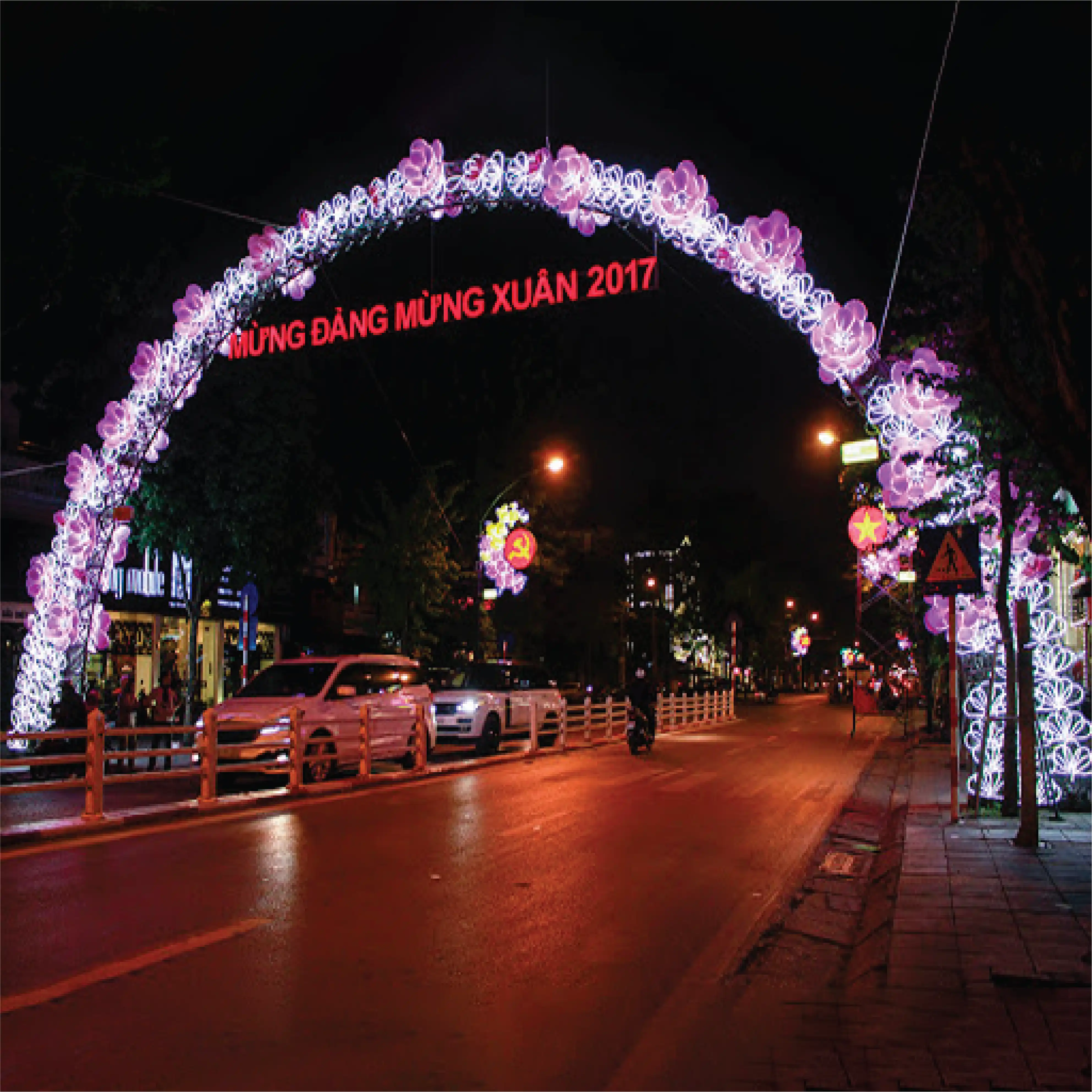 Hoa led trang trí TL917